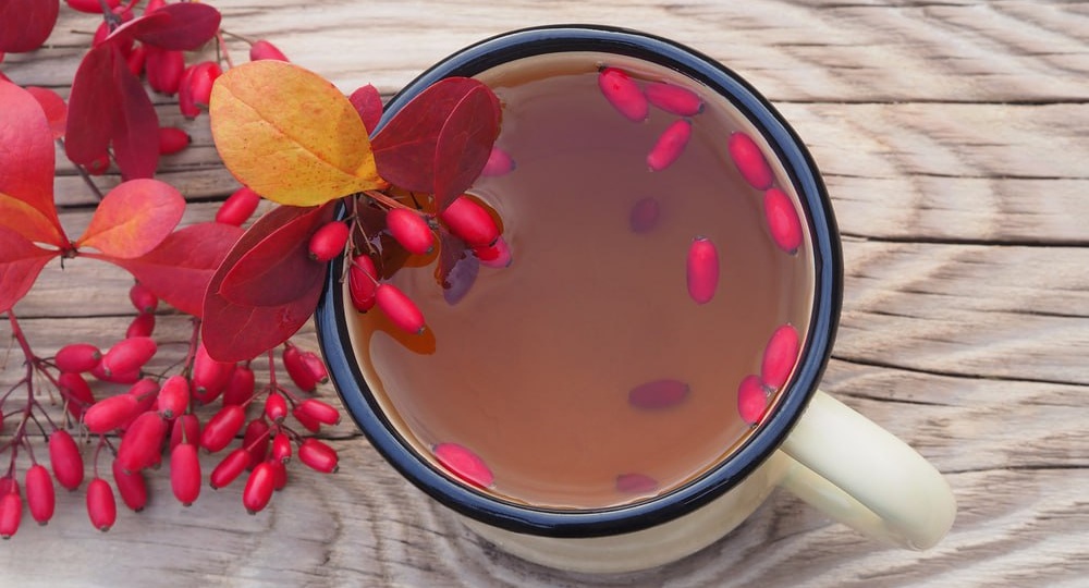 Что интересного вышло на Огород