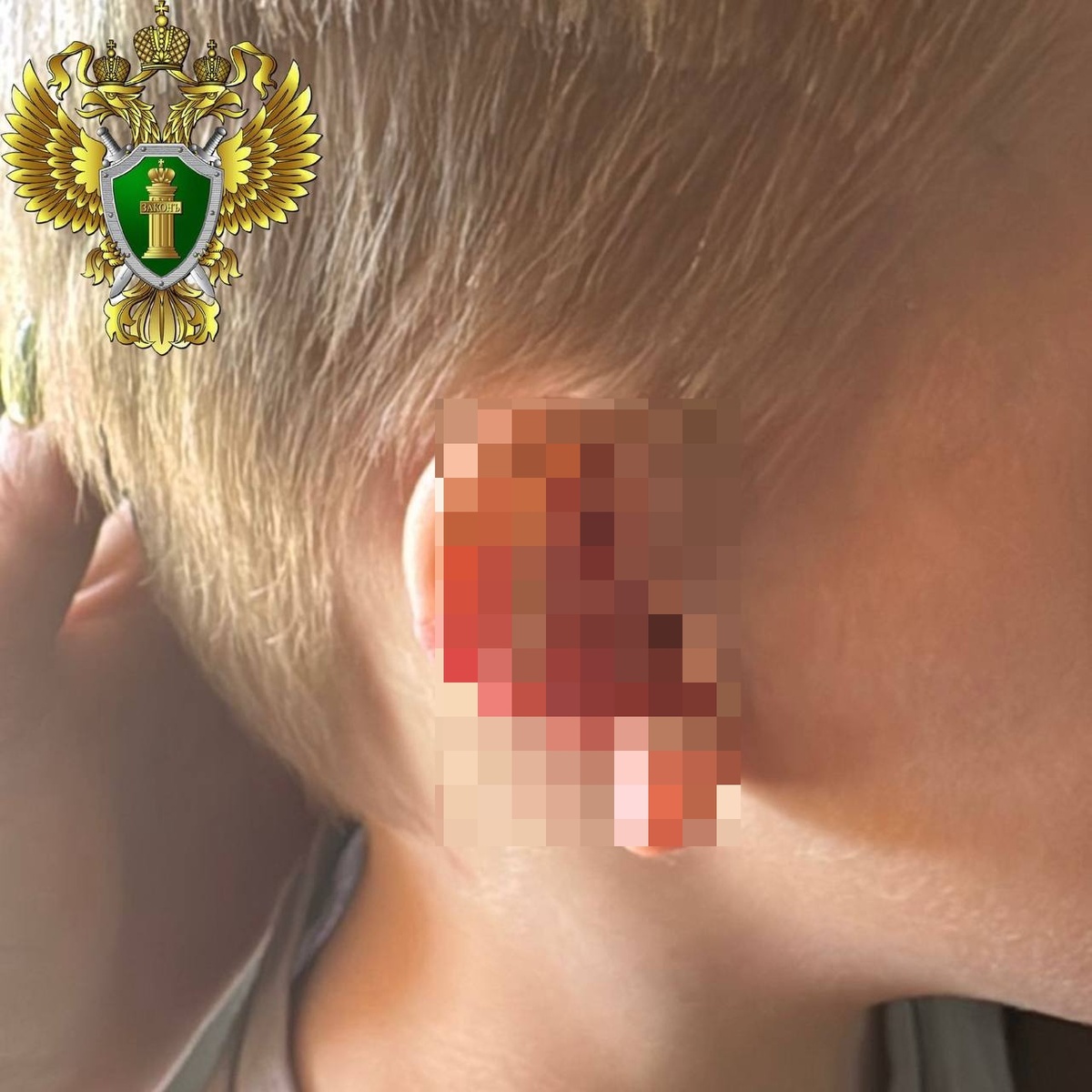    Фото: прокуратура Челябинской области.