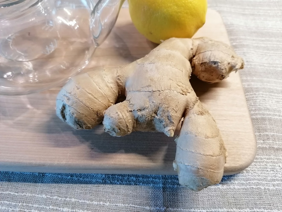 Правда же, этот корень по форме похож на рака? Фото автора