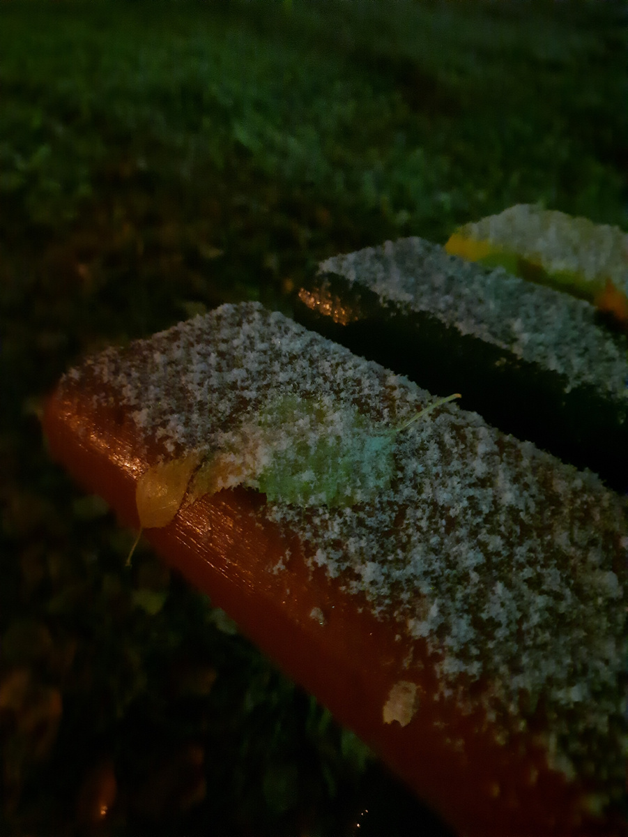 Первый снег