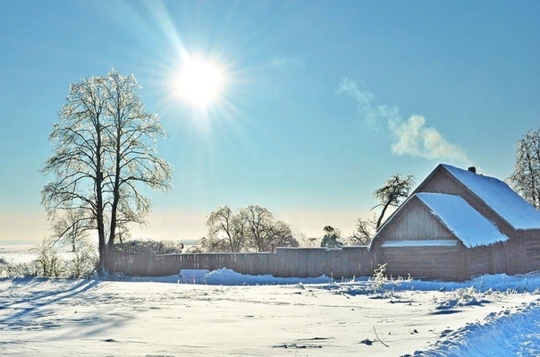 Фото из интернета. Морозный день.