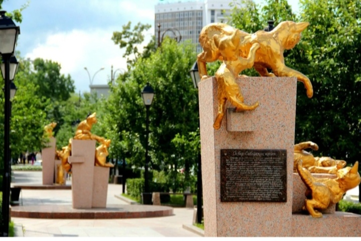 Фото из Интернета 