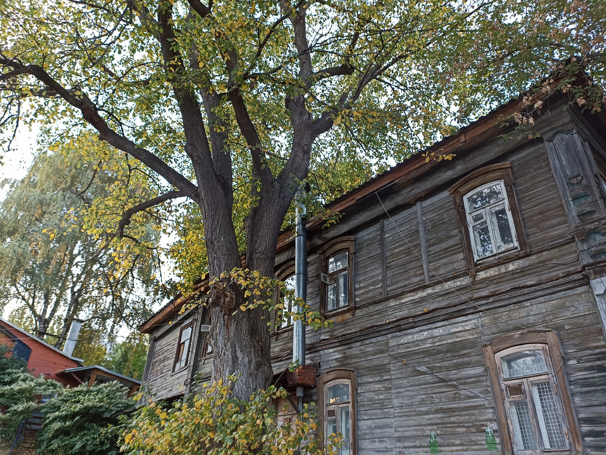 Это мы с мужем ездили пить кофе. Мест в кофейне не было, и мы взяли кофе с собой, гуляли по старому городу. 