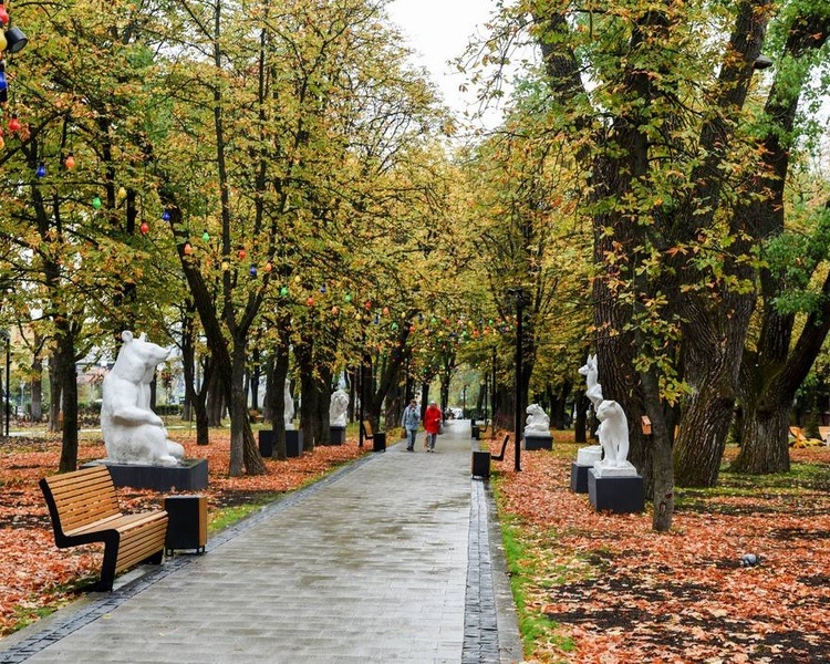     В курском Парке пионеров сломали кормушки и пытались выкопать цветы