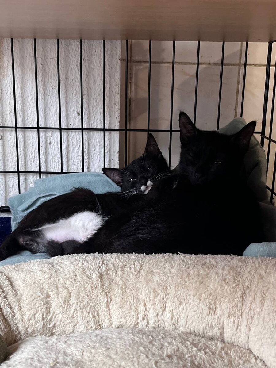 А мы такие, подрастаем)) 