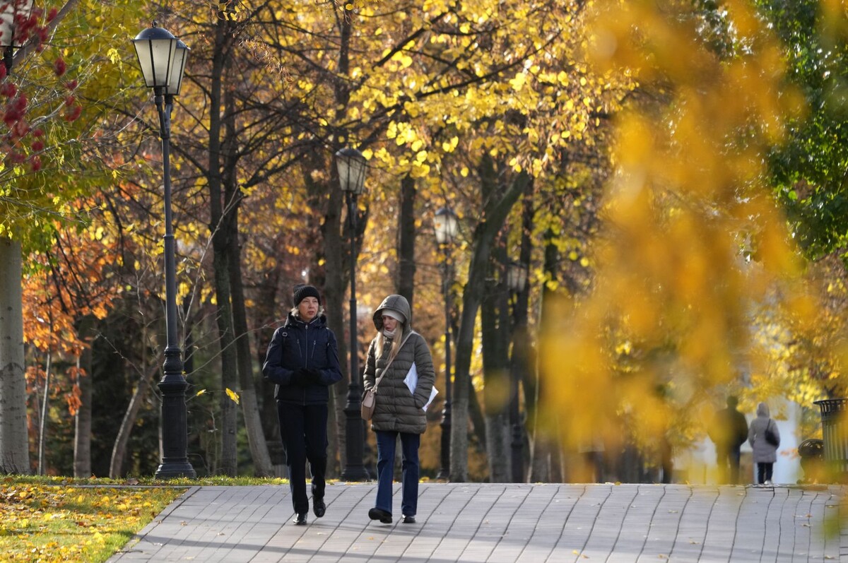     / Источник: © ИЗВЕСТИЯ/Дмитрий Коротаев