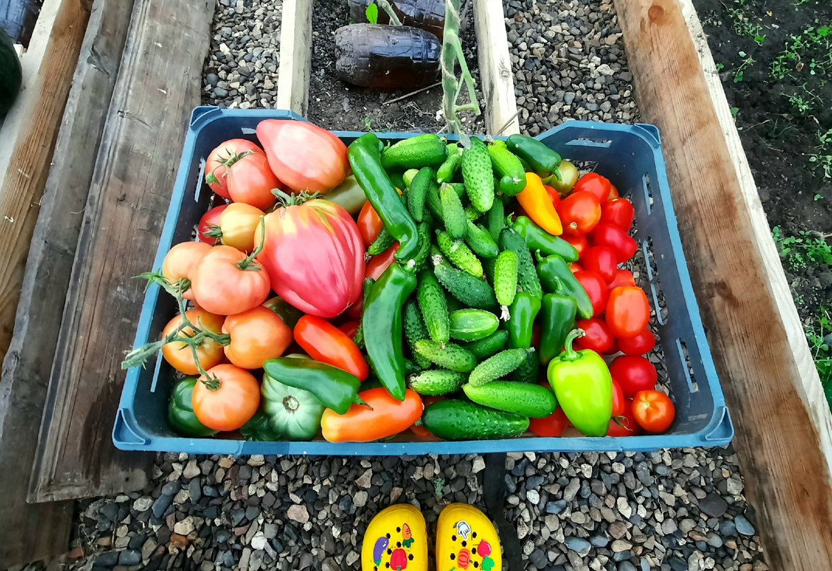 Фото автора.