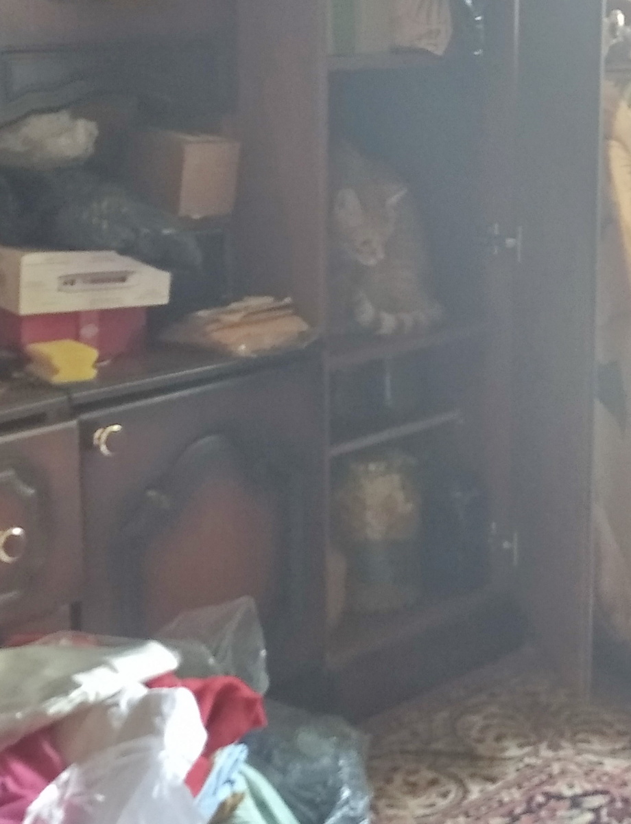 личное фото