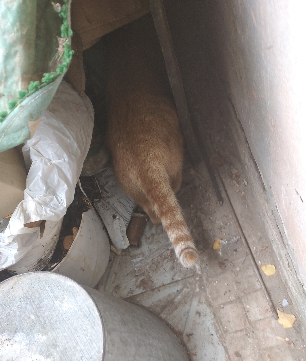 личное фото