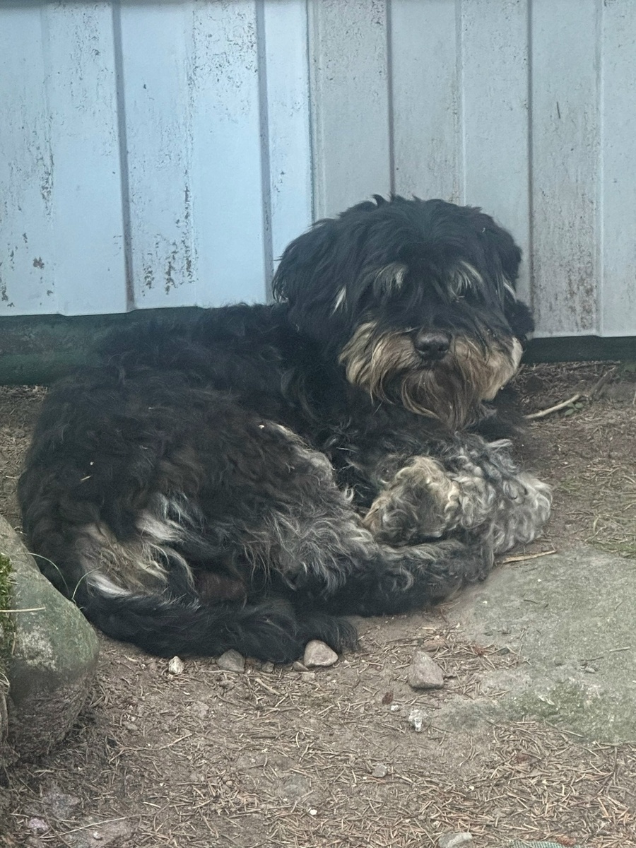 Таким нашли