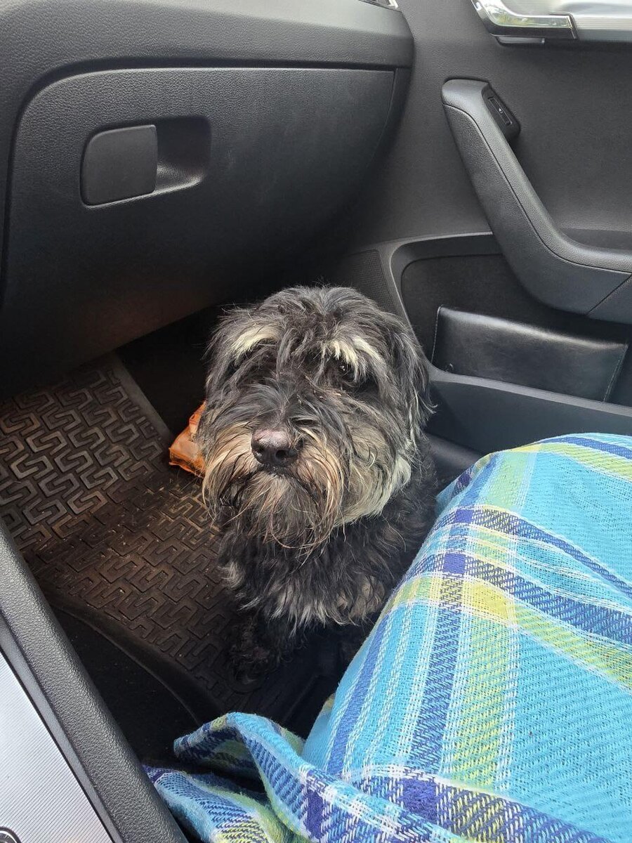 Таким везли