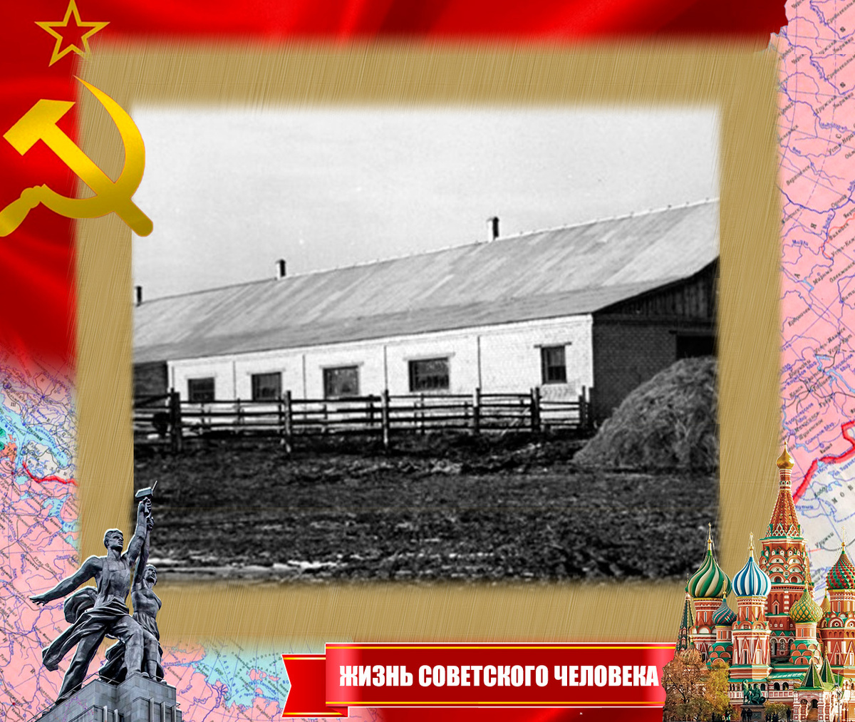 Колхозный коровник