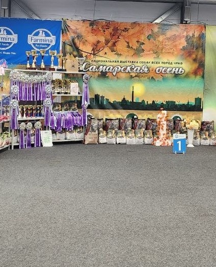 Фото автора.