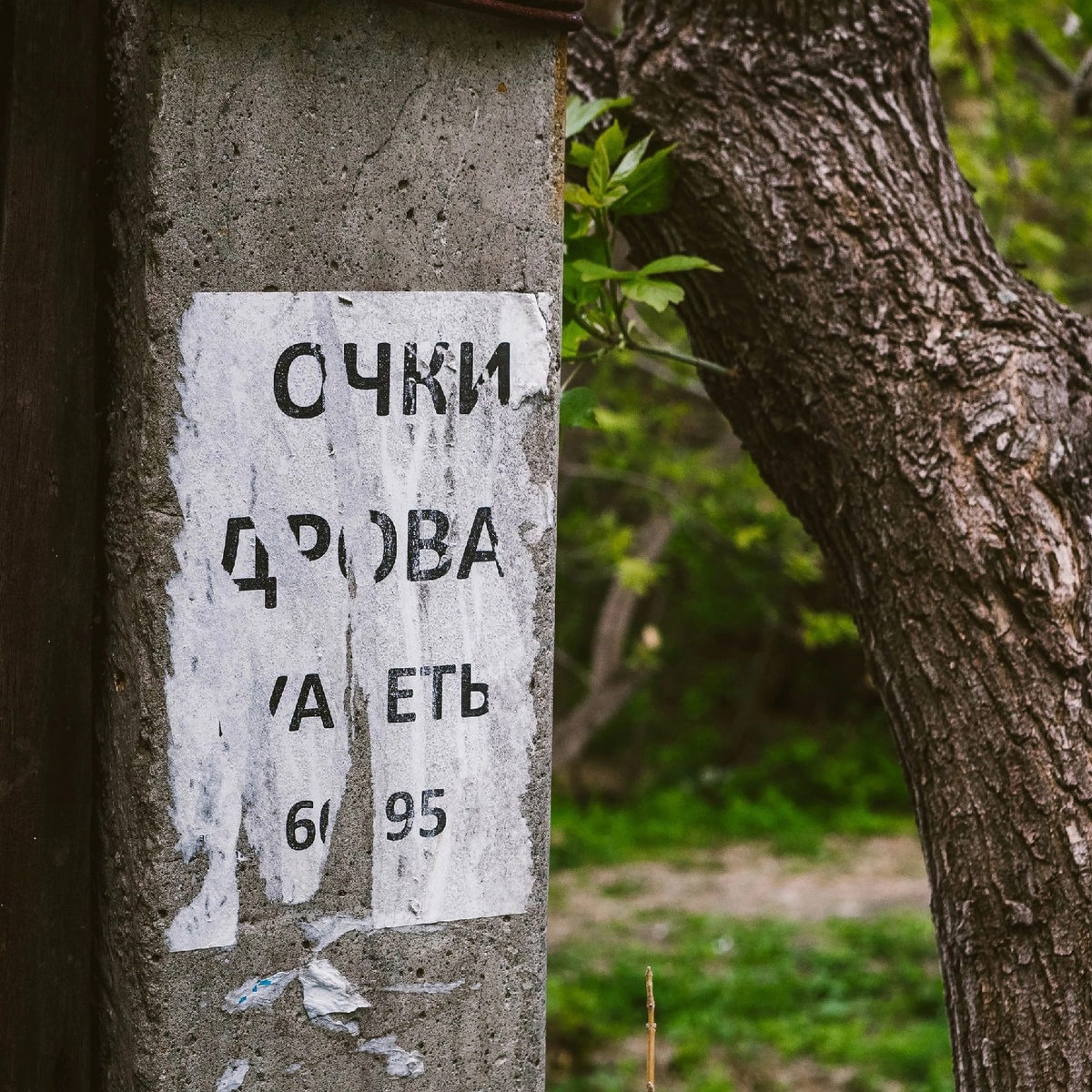 фото Андрея Павлычева