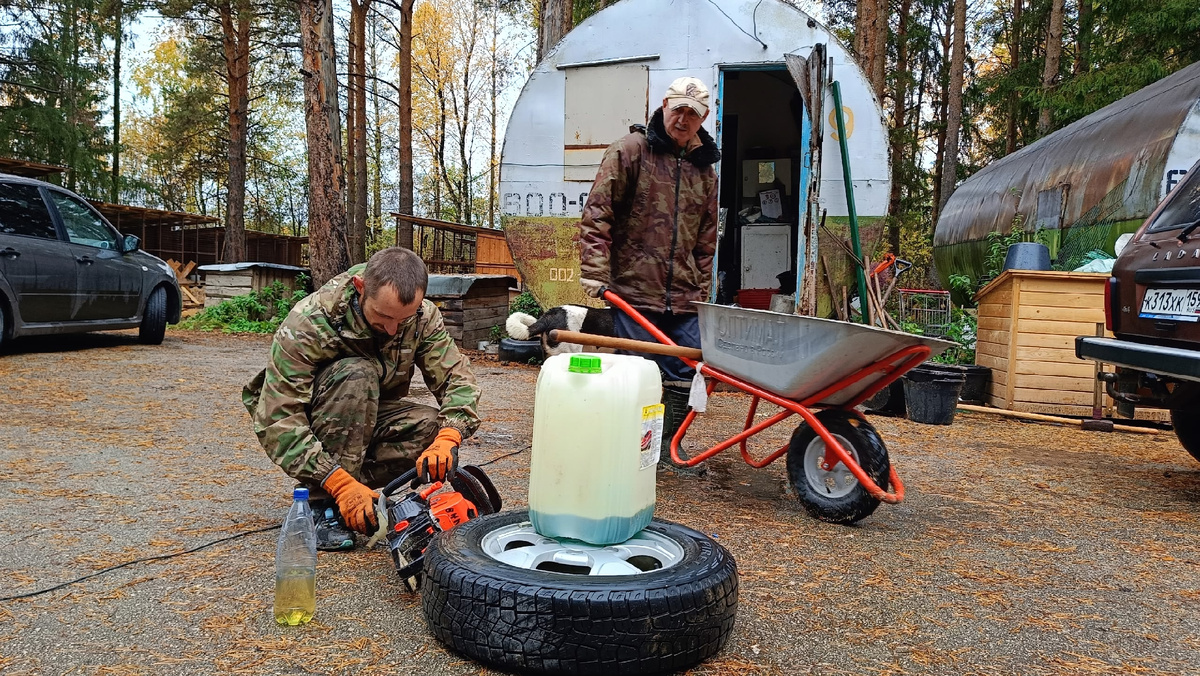 Владимир и новые помощники 
