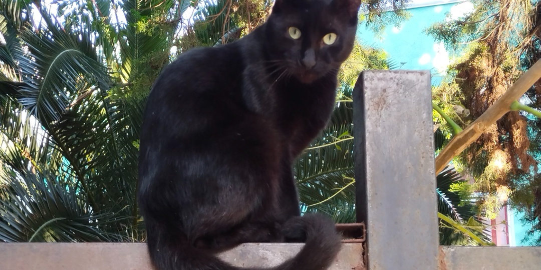 Муж решил уйти из семьи ради незнакомого больного сына. Бред или поступок?