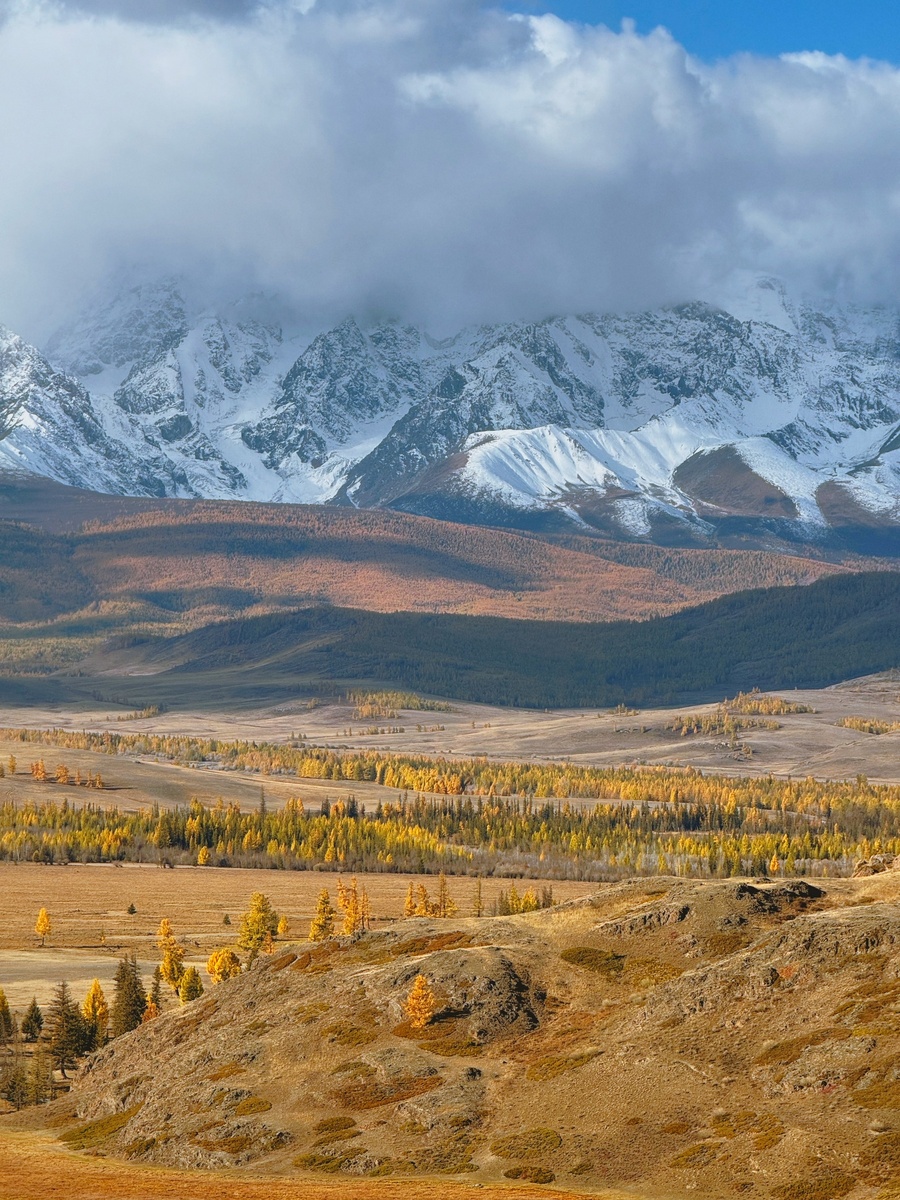 Источник Яндекс Картинки