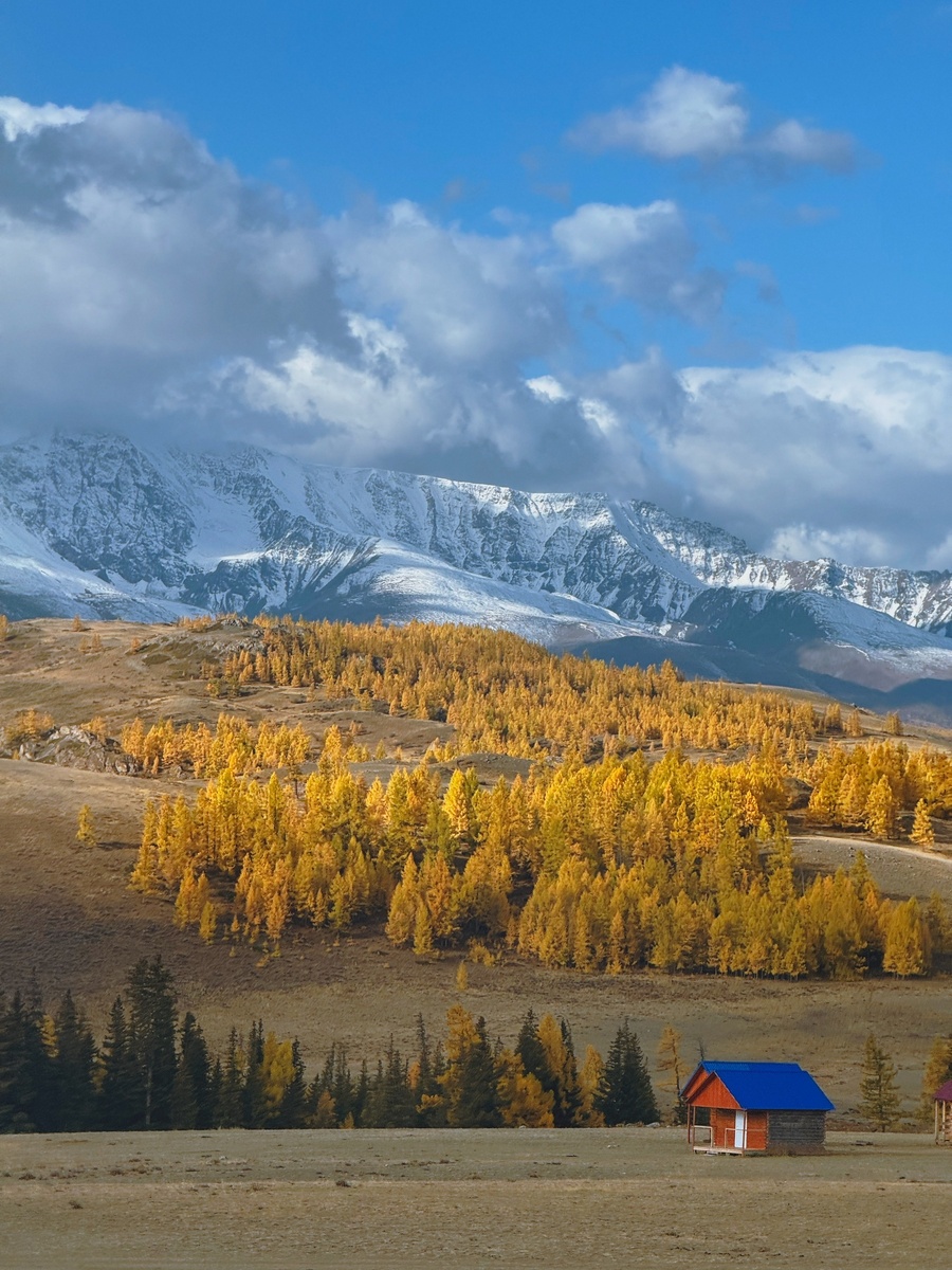 Источник Яндекс Картинки