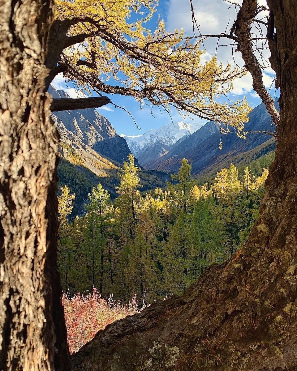 Источник Яндекс Картинки