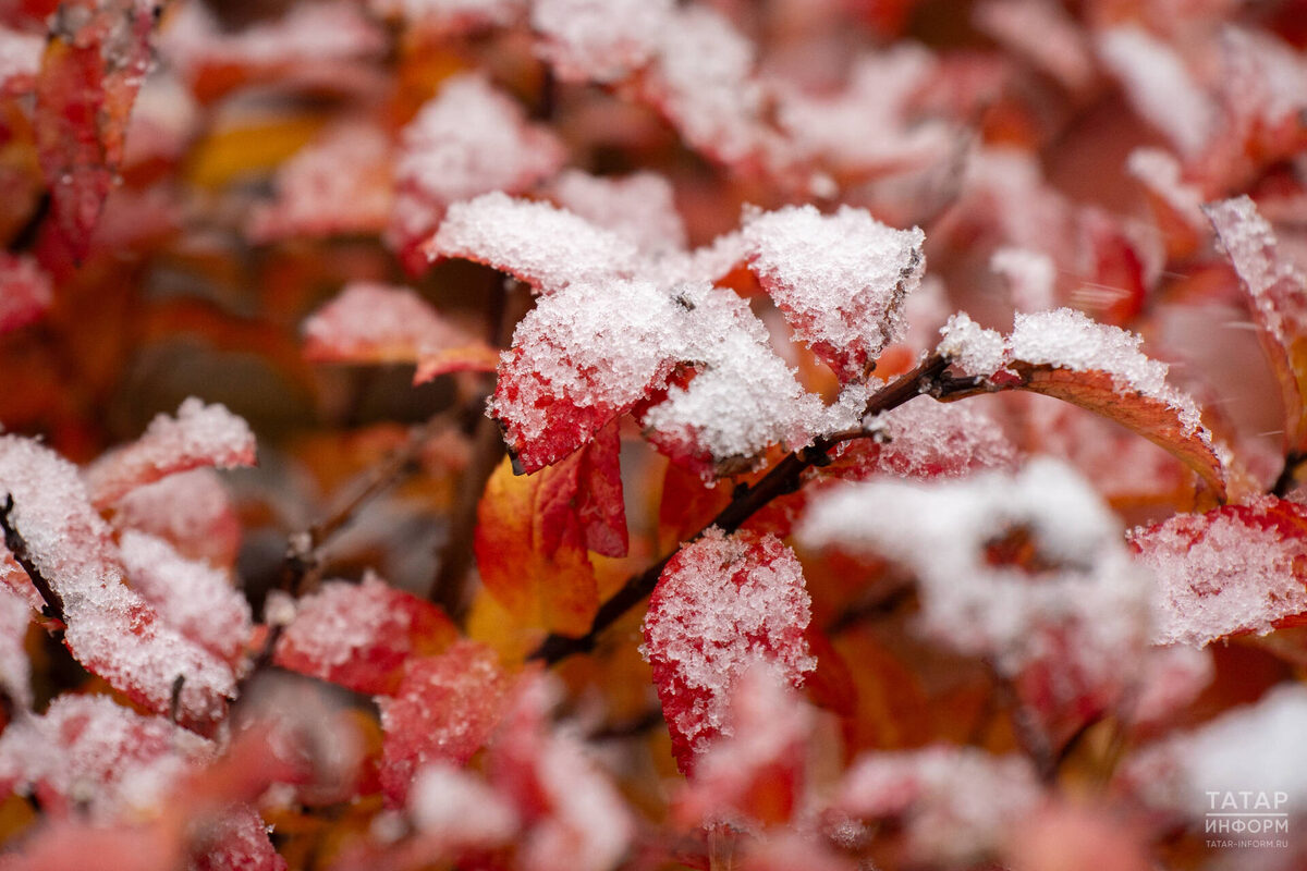 Фото: © Владимир Васильев / «Татар-информ»