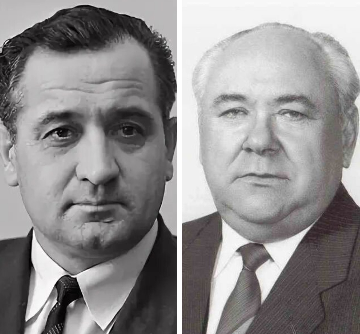 Лев Ермин / Виктор Никонов