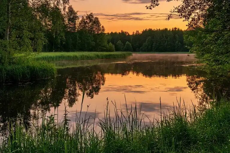    Иллюстрация: t.me/mushel_kz