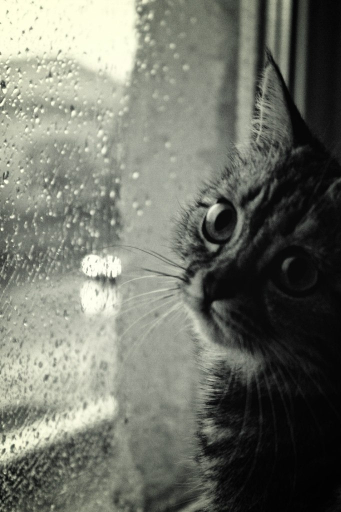 Из просторов интернета