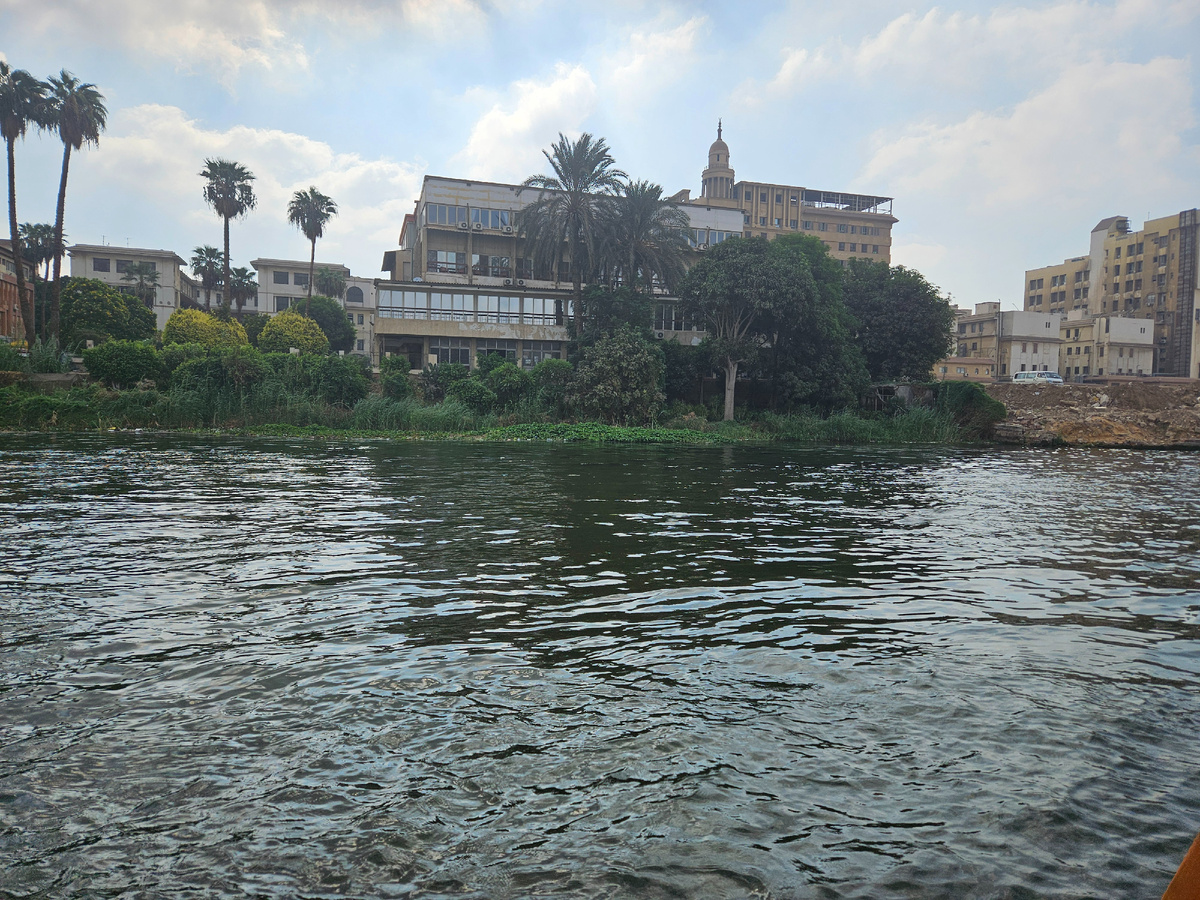 Маленький оазис на берегу Нила