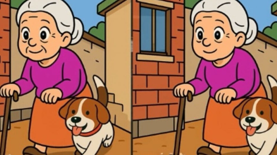 Старушка и пес: только самые зоркие найдут 3 отличия за отведенное время