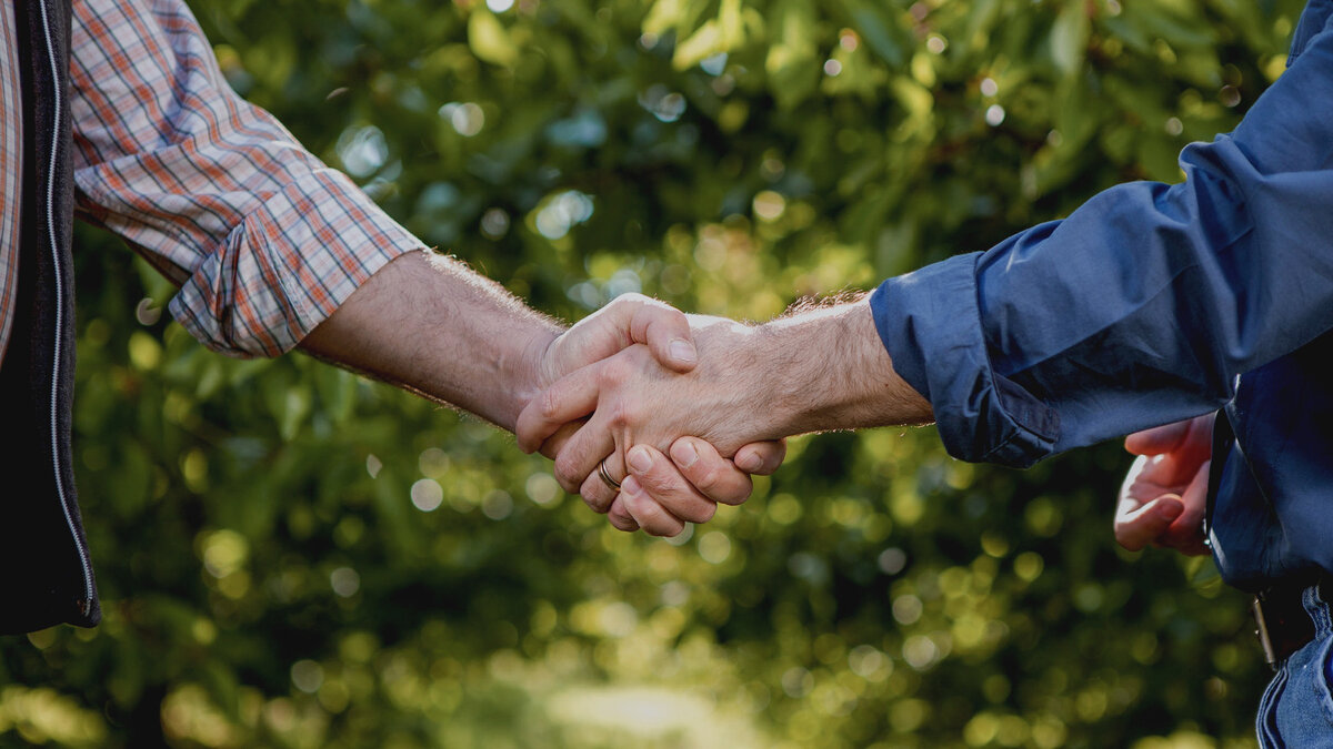 Рабочее рукопожатие.