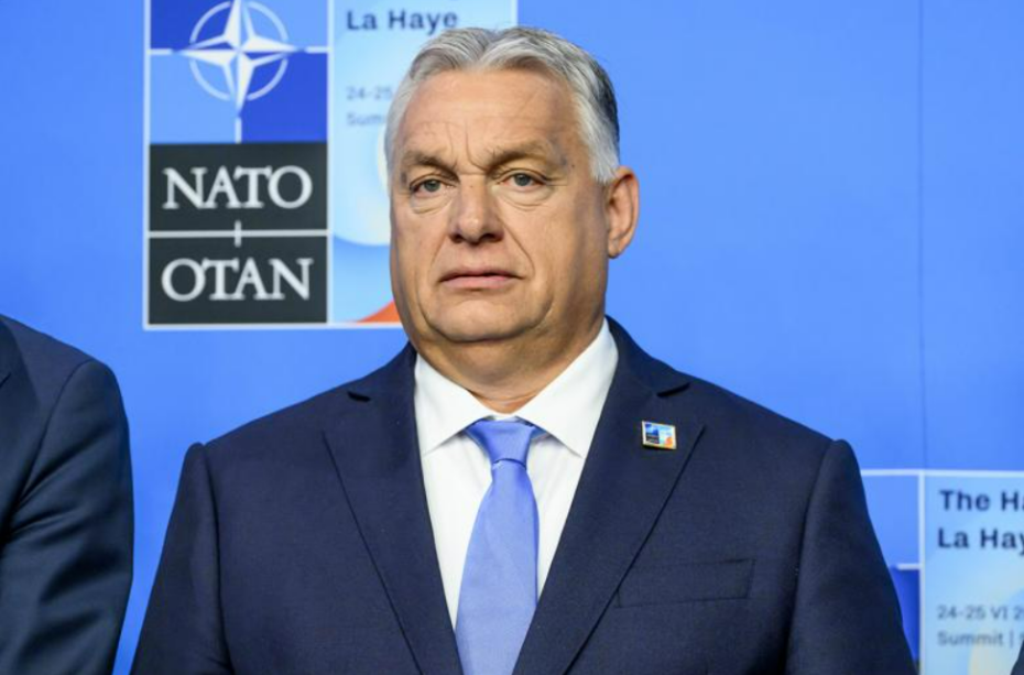    IMAGO/Global Look Press