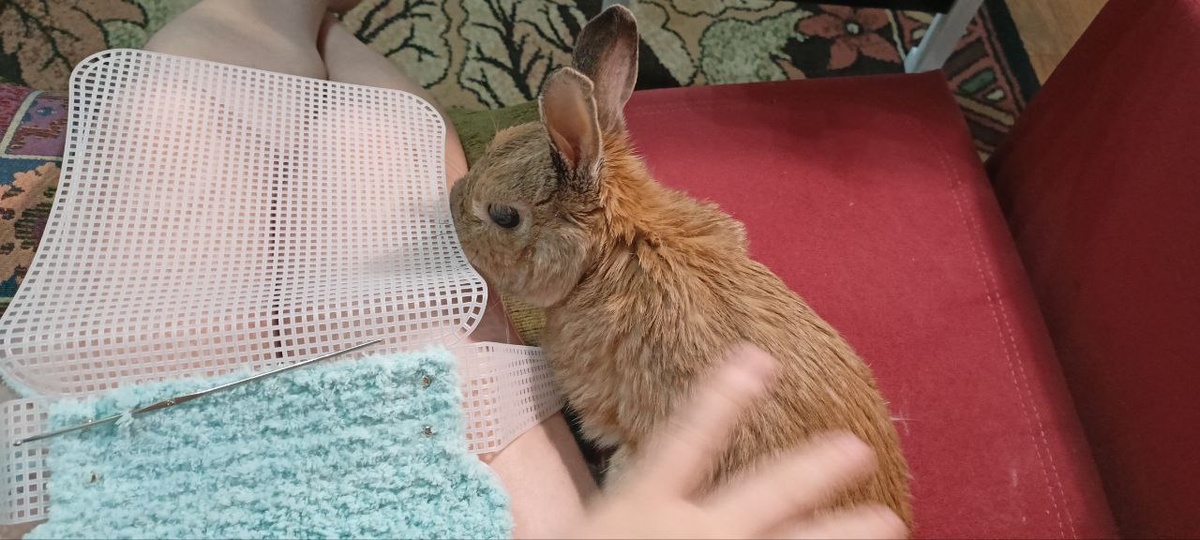 Ирискин всегда хотел быть рядом. На фото он уже старенький...