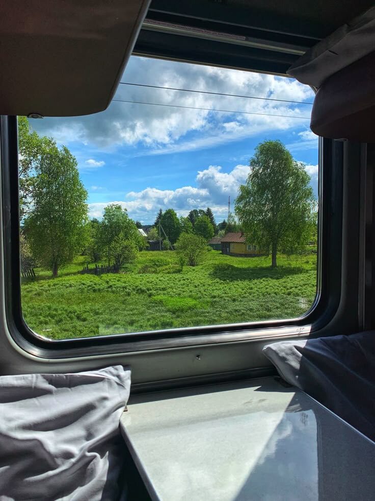 Фото: из открытых источников. 