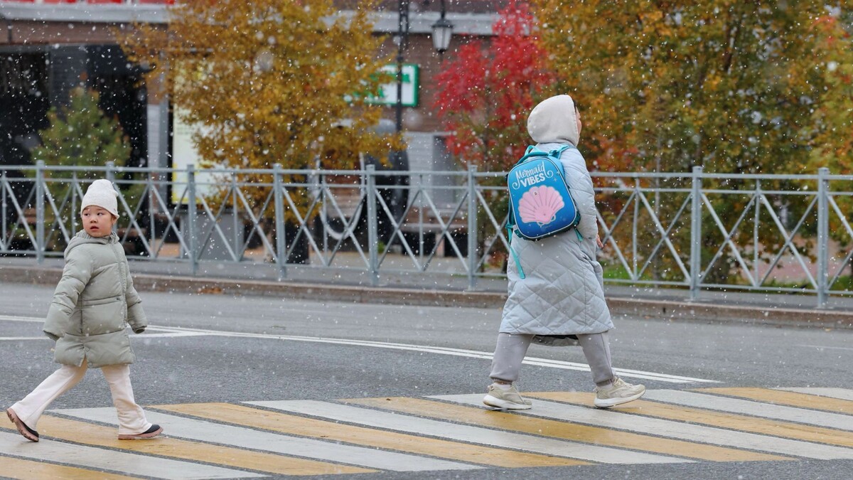    Фото: Андрей Ткачев / «Ямал-Медиа»