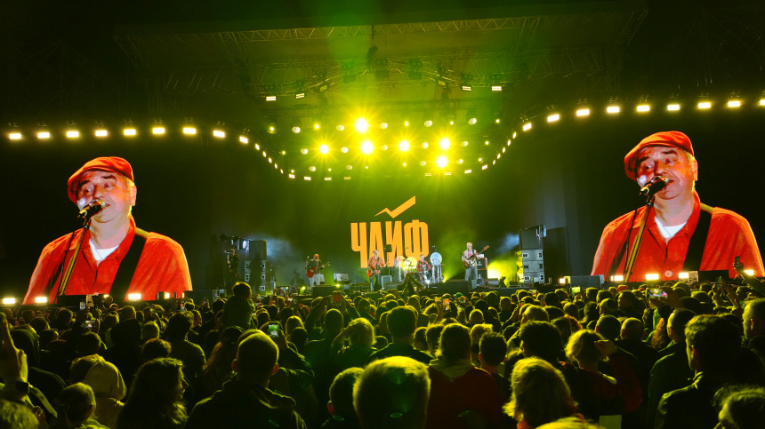    Фото: ИЗВЕСТИЯ/Дмитрий Коротаев; 5-tv.ru