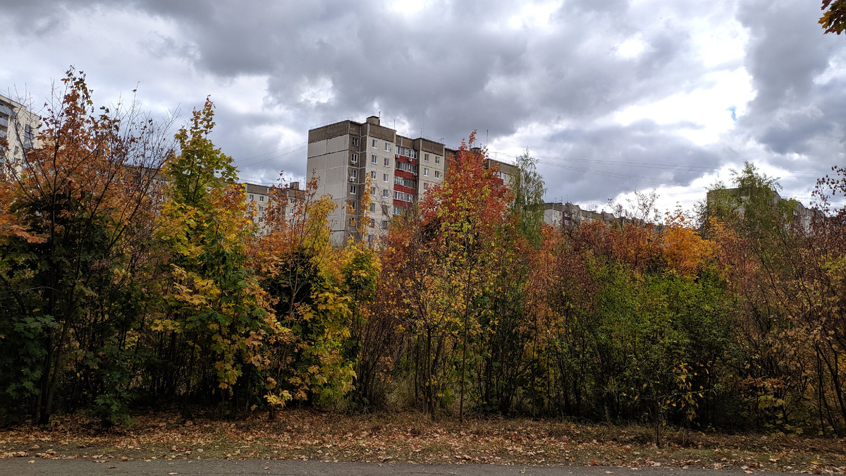 Фото автора 