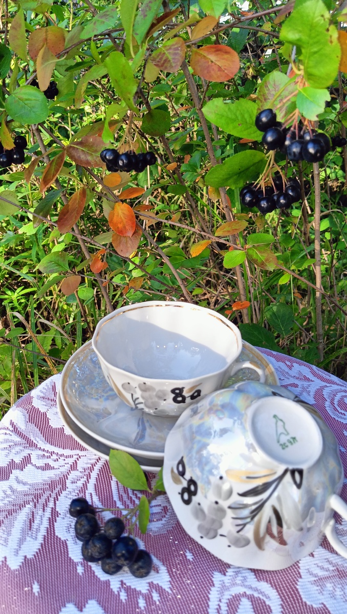 Смородина на фарфоре. Фото автора