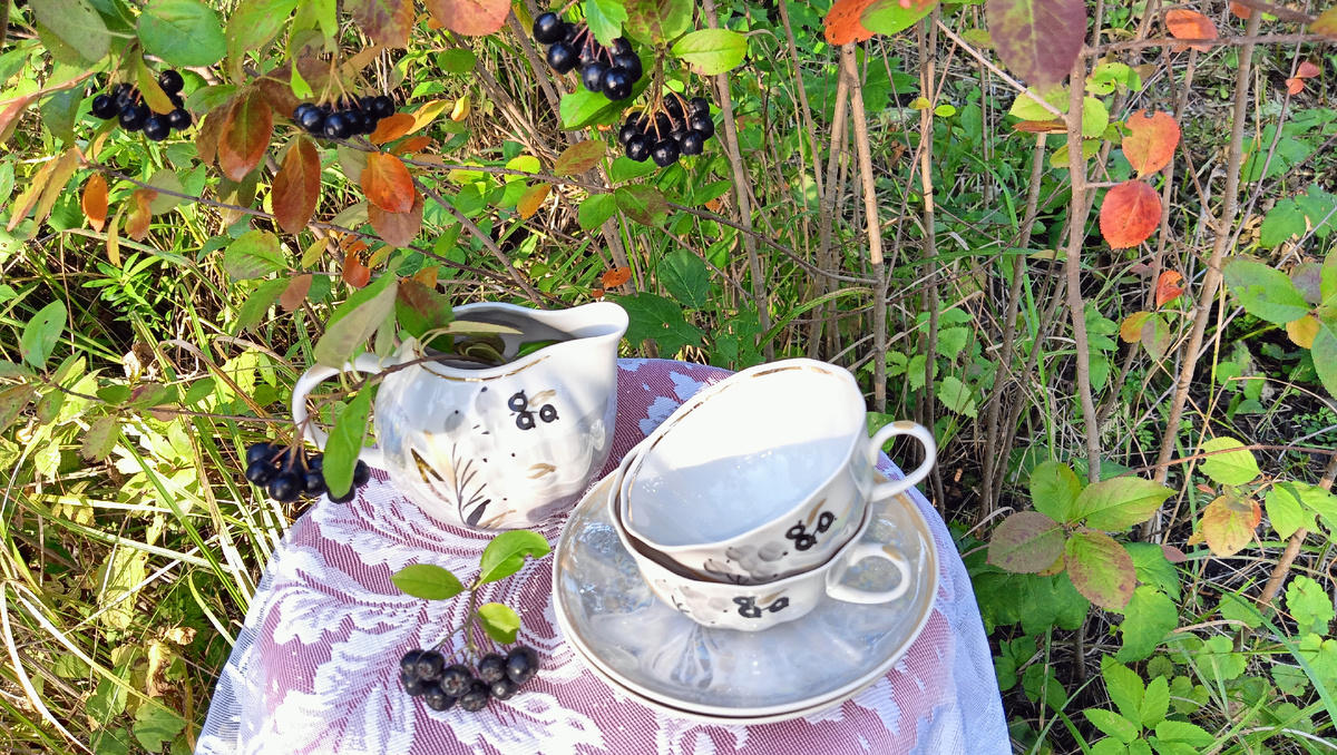 Смородина на фарфоре. Фото автора