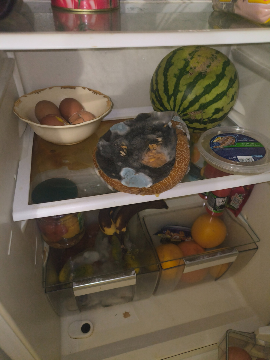 Вот что было в холодильнике, когда я первый раз его открыла. А в белом ящике плюс ко всему протухли помидоры.