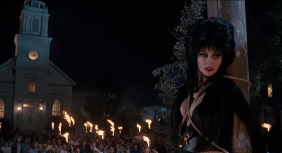 Кадр из х/ф "Эльвира. Повелительница тьмы"