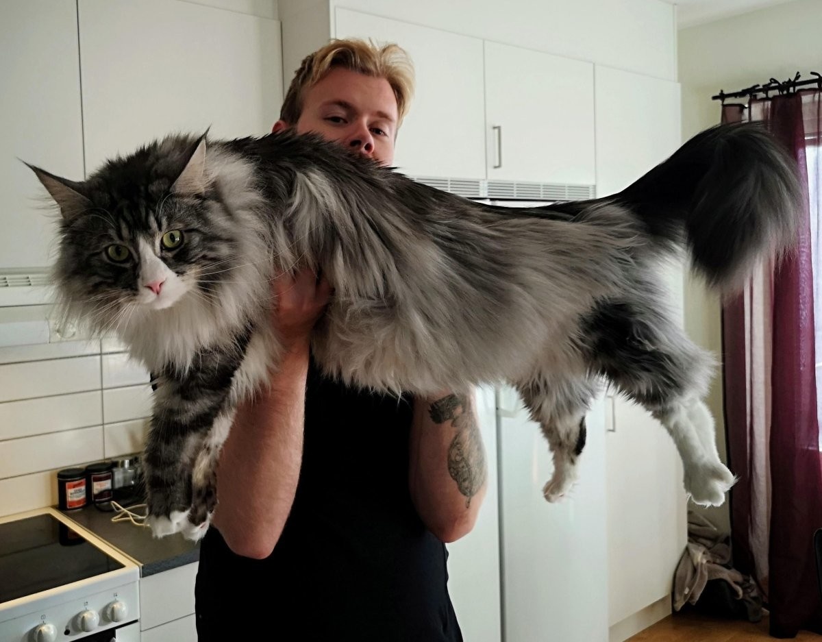 Источник: sneg.top