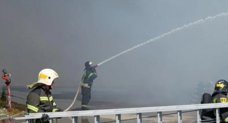    РИА «Новости»