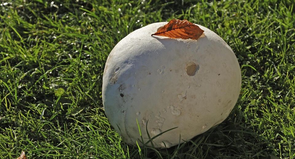    Helmut Meyer zur Capellen/imageBROKER.com / www.globallookpress.com