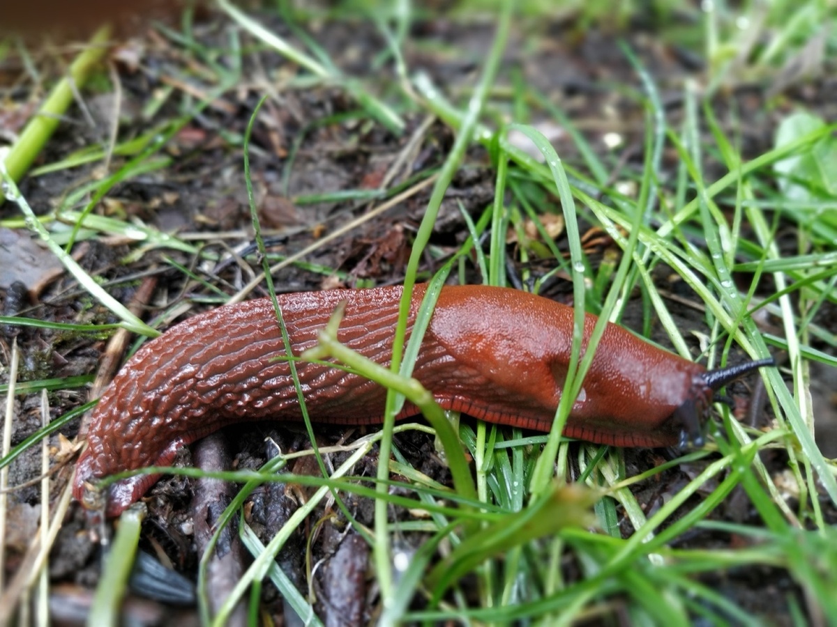 Источник фото: spb.kp.ru