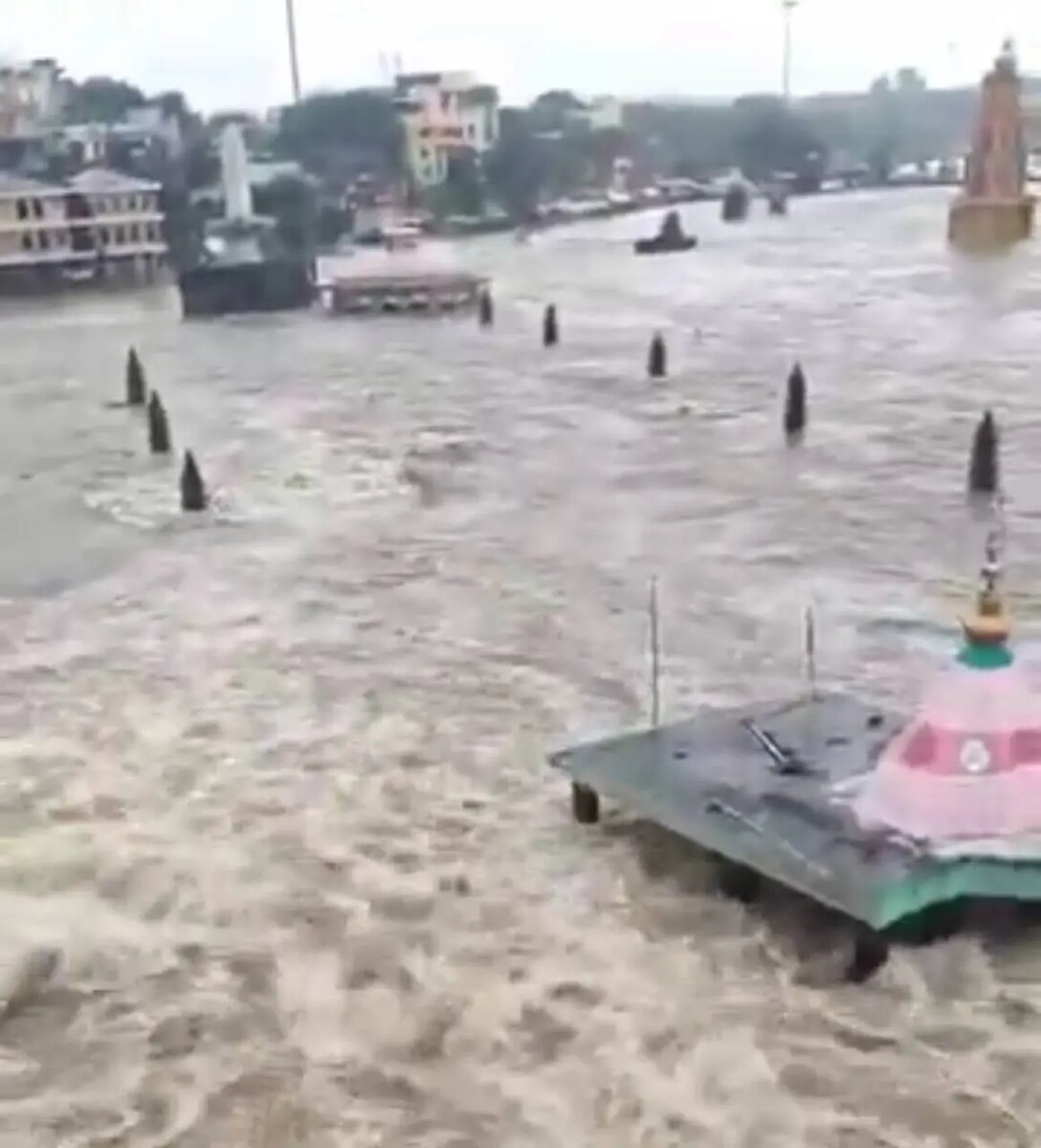    Фото: скриншот видео из соцсетей