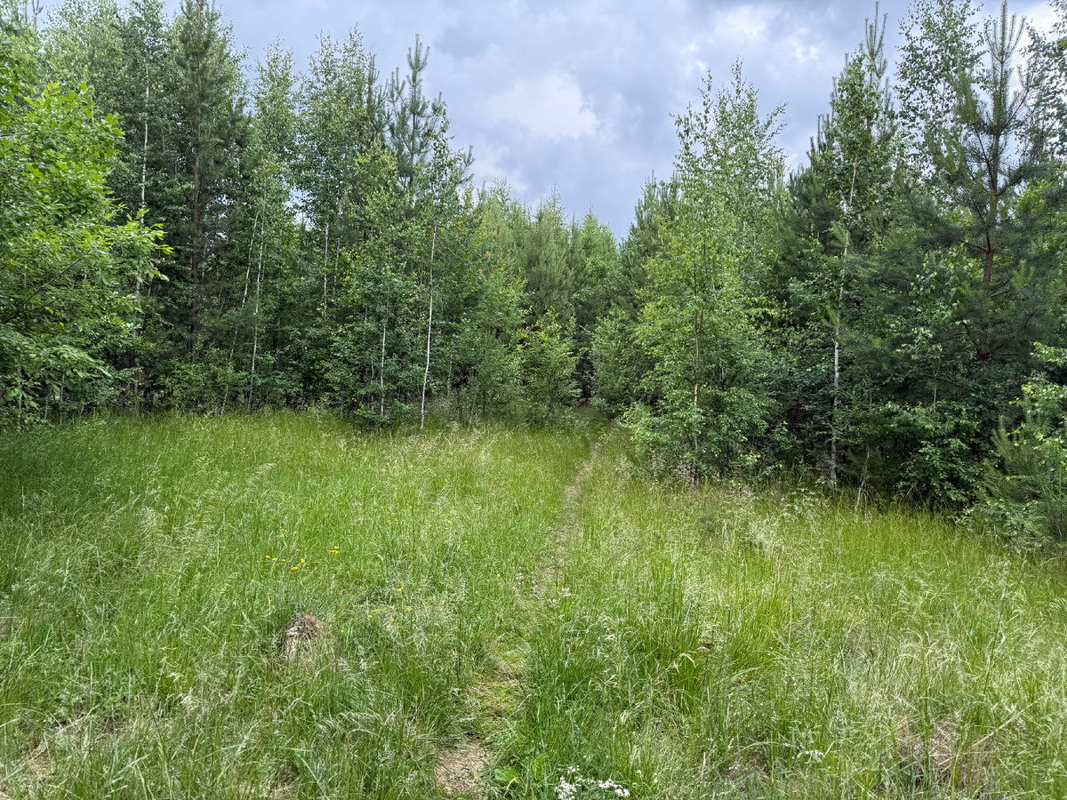 Та самая тропинка