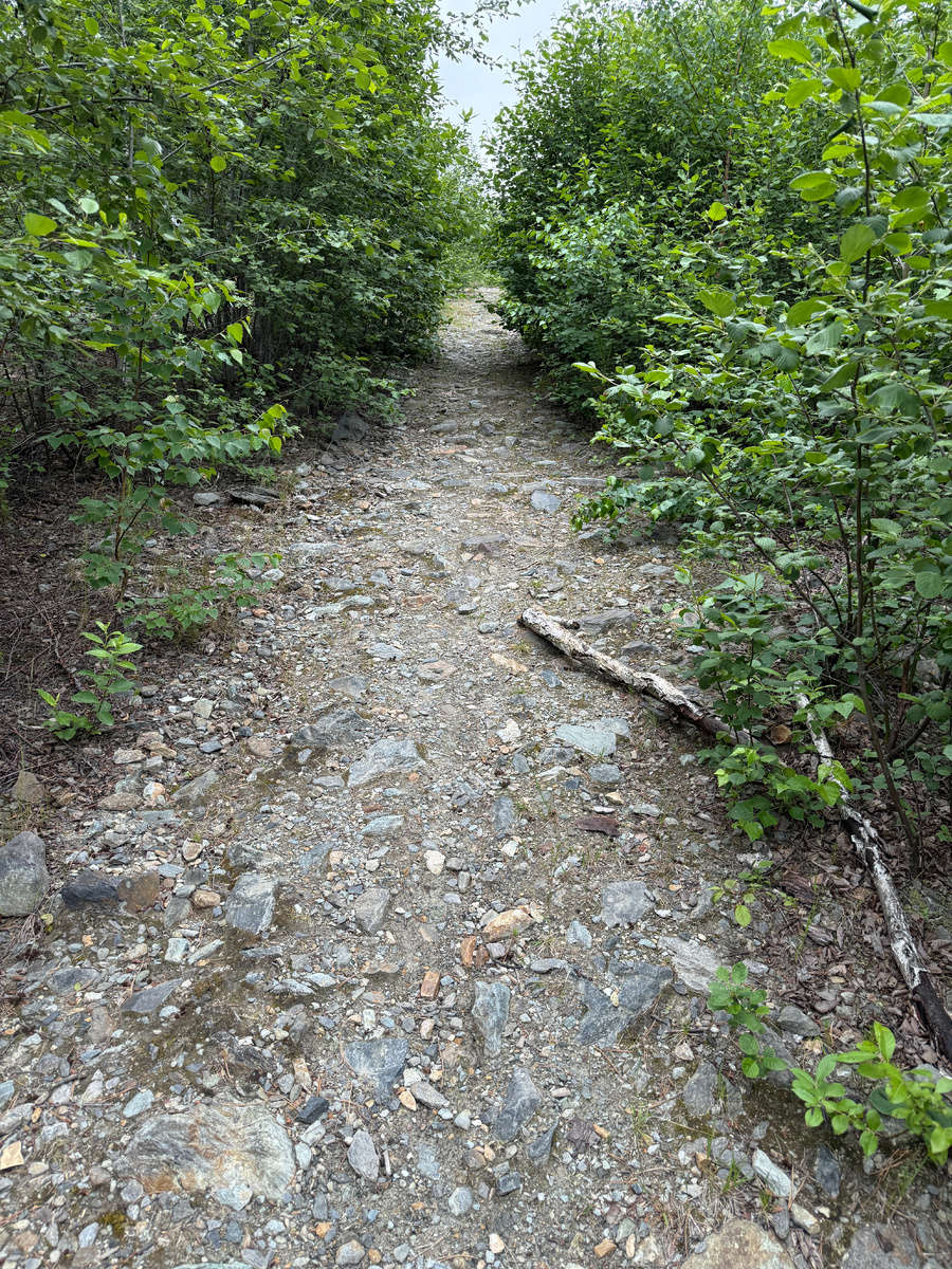 Дорога к отвалам