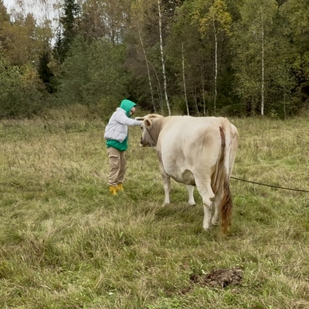 Соприкосновение с жизнью 