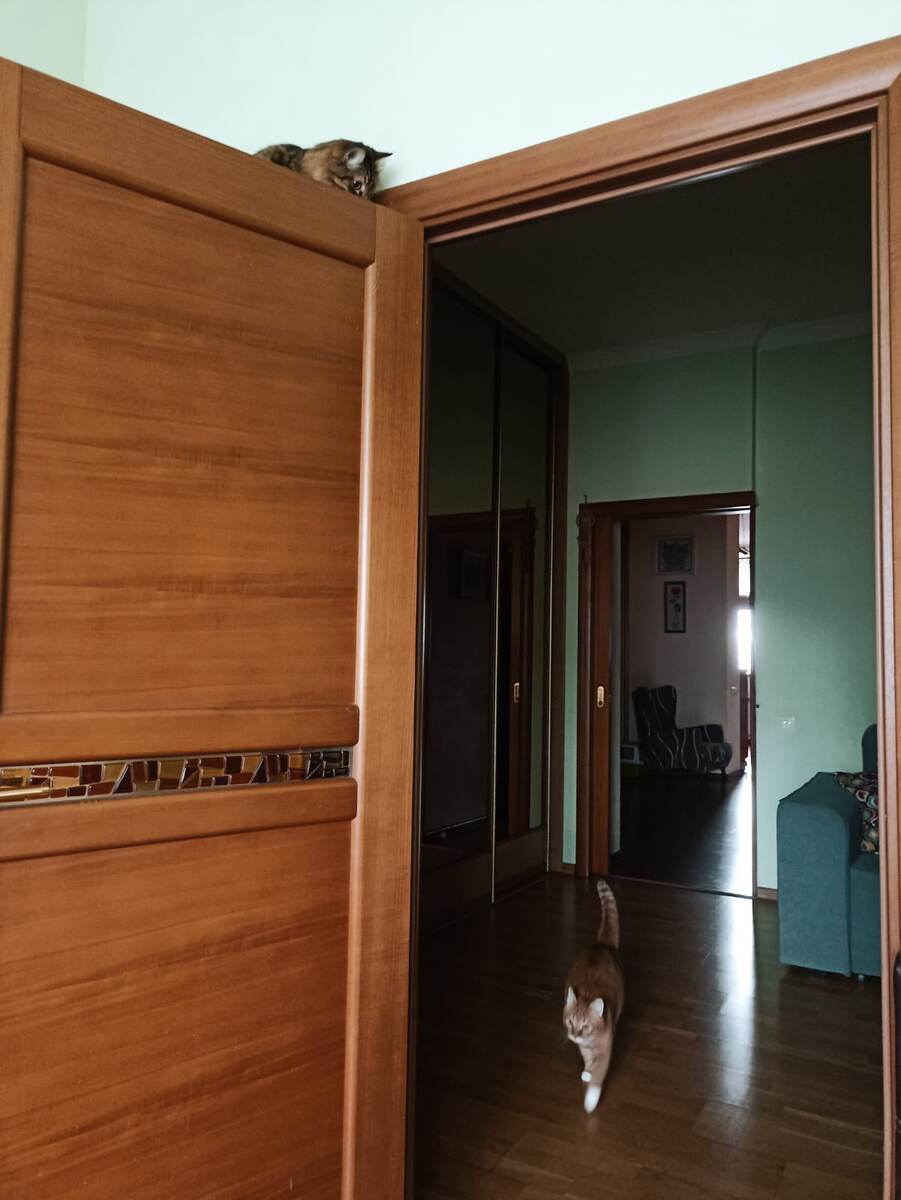 Предводитель в засаде)) 