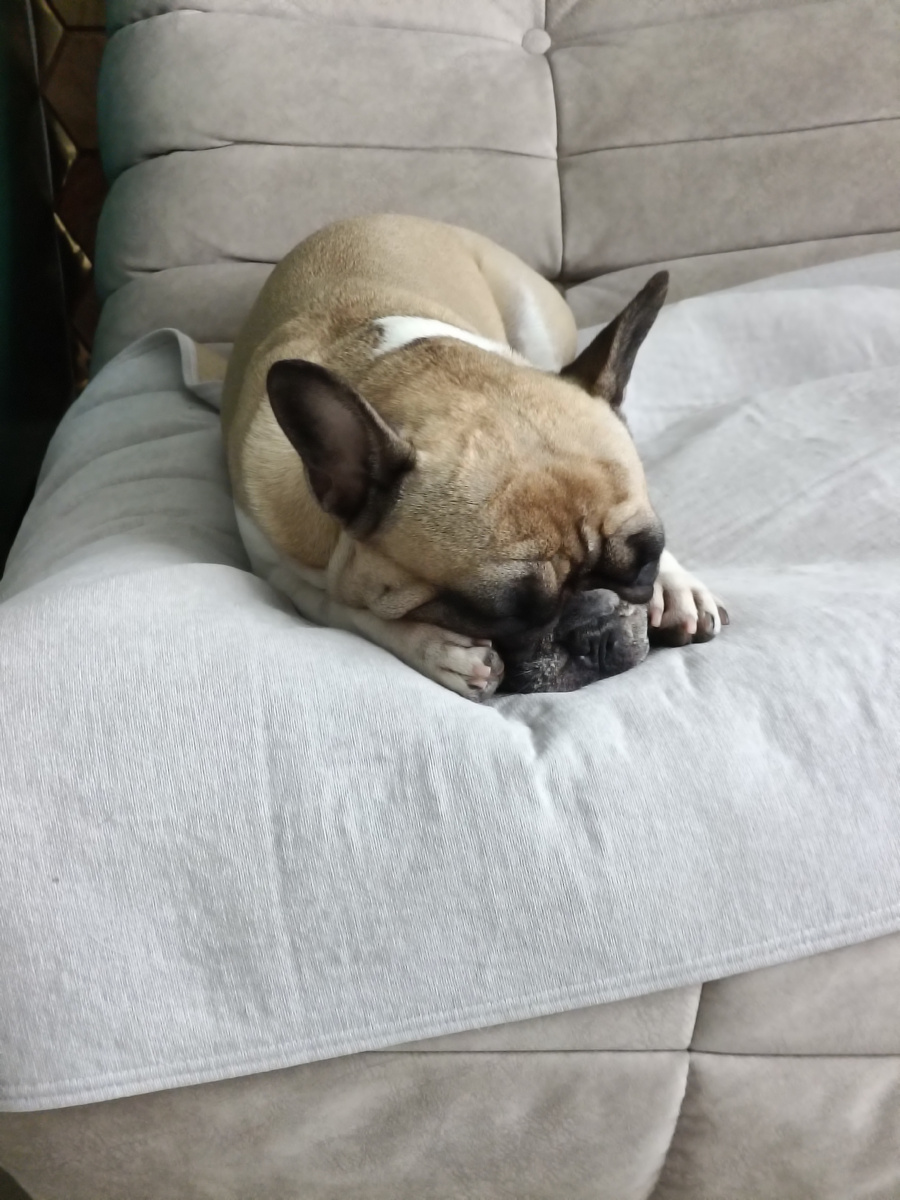 Ну такая она милота, я не могу. Скоро 4 года, а я все не привыкну и не осознаю, как можно быть такой невозможной милотой. Когда спит. 